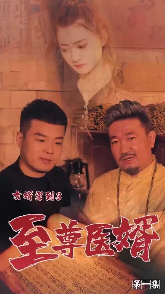 女婿駕到3