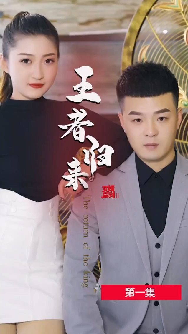 女婿駕到2王者歸來