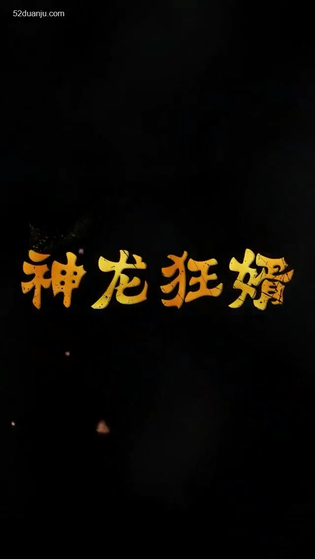神龍狂婿合集版