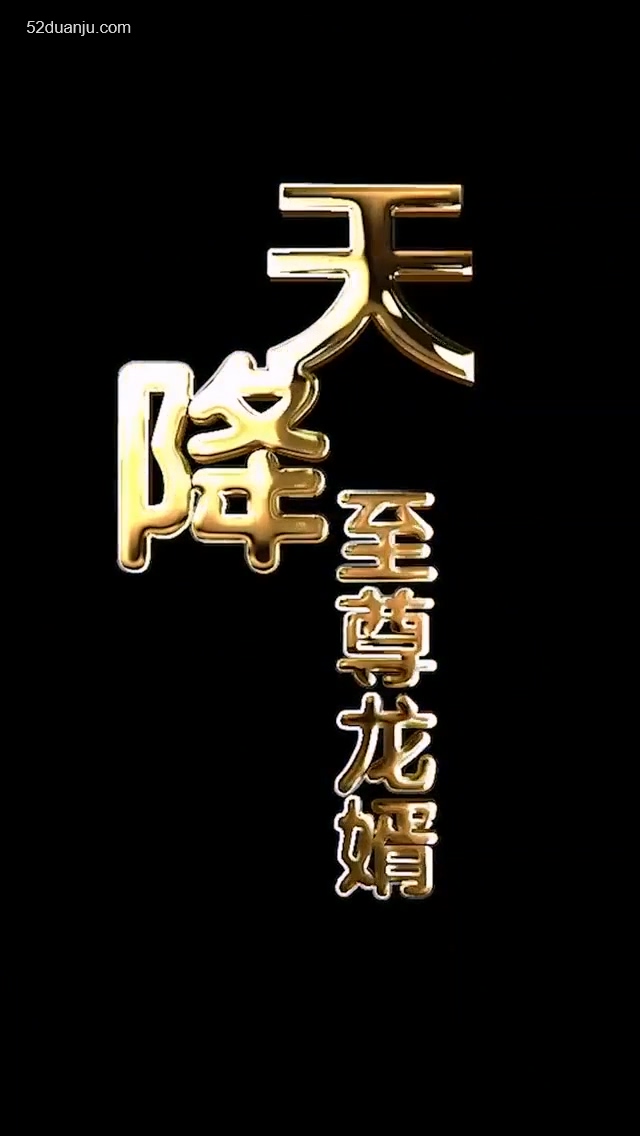 天降至尊龍婿合集版