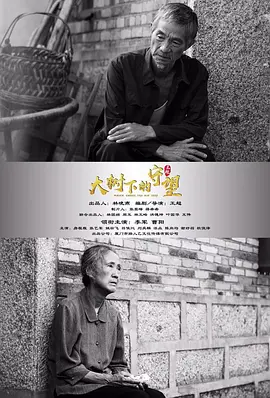 大樹下的守望
