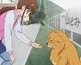 狗狗國際大賽