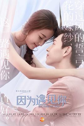因?yàn)橛鲆?jiàn)你[DVD版]